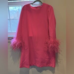 Tuckernuck mod feather dress, hot pink size large
